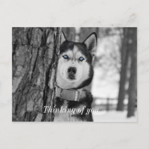 My Baby Blue Eyes Thinking Of You Postcard