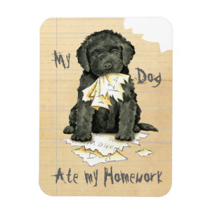 My Barbet Ate My Homework Magnet