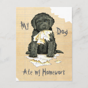 My Barbet Ate My Homework Postcard
