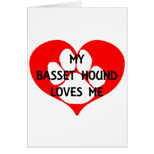 my basset hound loves me