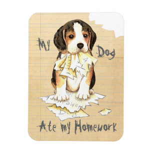 My Beagle Ate My Homework Magnet