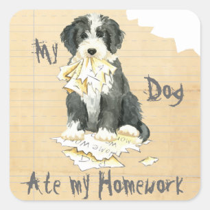 My Bearded Collie Ate My Homework Square Sticker