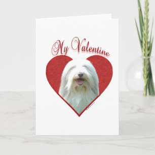 My Bearded Collie Valentine Holiday Card