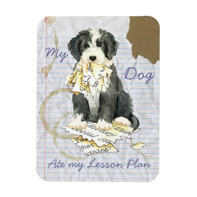 My Bearded Colllie Ate My Lesson Plan Magnet (Vertical)