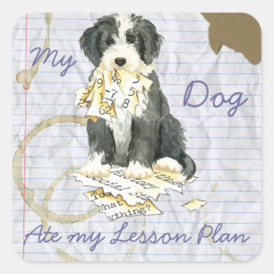 My Bearded Colllie Ate My Lesson Plan Square Sticker