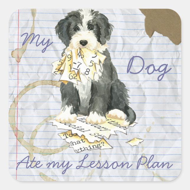 My Bearded Colllie Ate My Lesson Plan Square Sticker (Front)