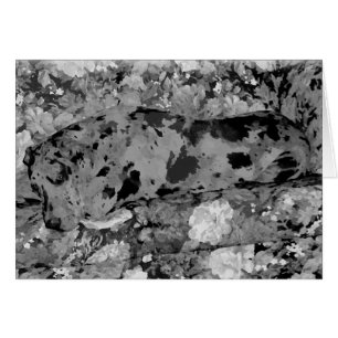 My Beautiful Great Dane, Hope