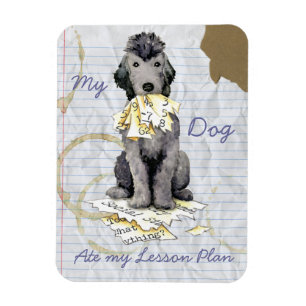 My Bedlington Terrier Ate My Lesson Plan Magnet