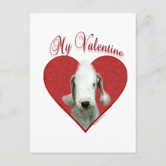 My Bedlington Terrier Valentine Holiday Postcard (Front)