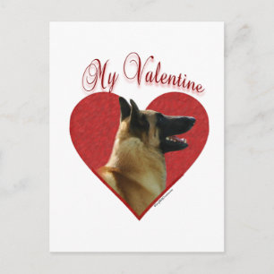 My Belgian Malinois Valentine Holiday Postcard