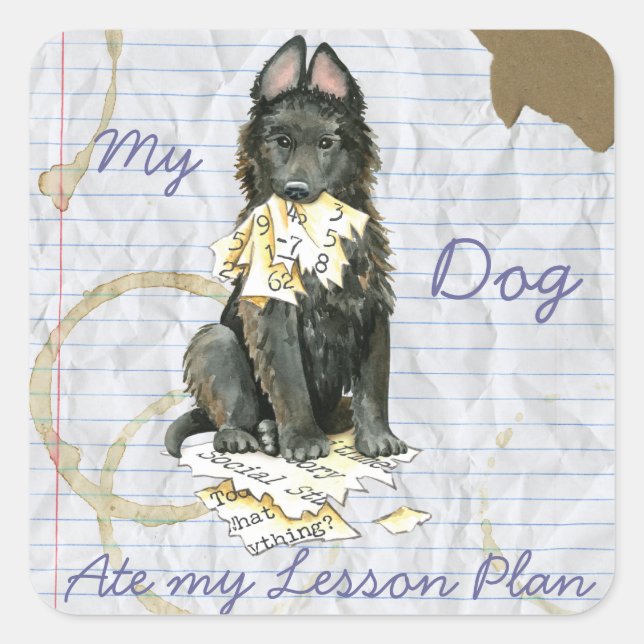 My Belgian Sheepdog Ate My Lesson Plan Square Sticker (Front)