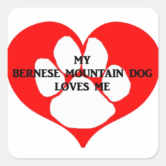 my bernese mountain dog loves me square sticker (Front)