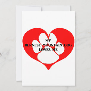 my bernese mountain dog loves me thank you card