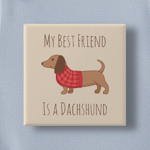 My Best Friend Dachshund Wiener Dog on Beige 15 Cm Square Badge