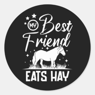 My Best Friend Eats Hay  Classic Round Sticker