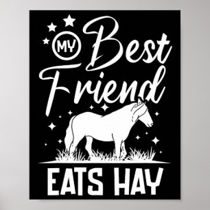 My Best Friend Eats Hay  Poster