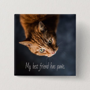 My best friend has paws, Cat Kitten Cute 15 Cm Square Badge