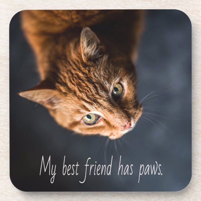 My best friend has paws, Cat Kitten Cute Coaster (Front)