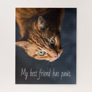 My best friend has paws, Cat Kitten Cute Jigsaw Puzzle