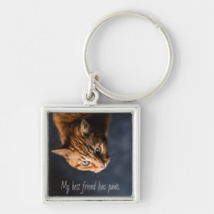 My best friend has paws, Cat Kitten Cute Key Ring