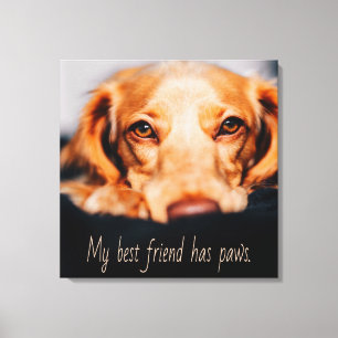 My Best friend has paws dog, Puppy Meme Canvas Print