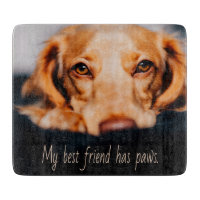 My Best friend has paws dog, Puppy Meme
