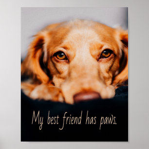 My Best friend has paws dog, Puppy Meme Poster