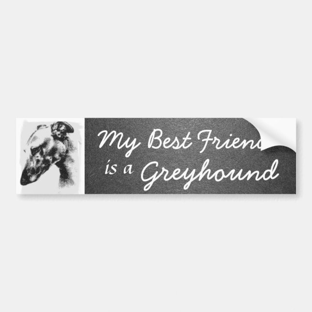 My Best Friend is a Greyhound Bumper Sticker (Front)