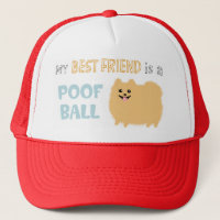 My Best Friend is a POOF BALL - Cute Pomeranian