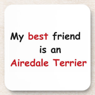 My best friend is an Airedale Terrier Coaster