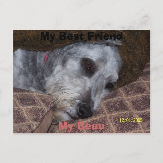My Best Friend Postcard (Front)