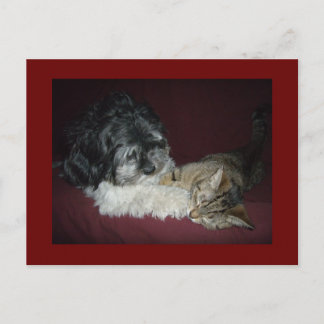 My best friend postcard