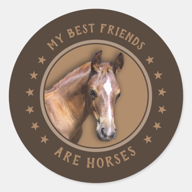 My Best Friends are Horses Classic Round Sticker (Front)