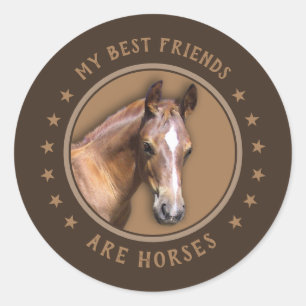 My Best Friends are Horses Classic Round Sticker