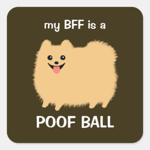 My BFF is a Poof Ball - Fluffy Pomeranian Dog Square Sticker
