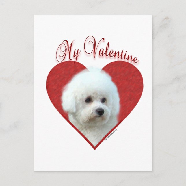 My Bichon Frise Valentine Holiday Postcard (Front)