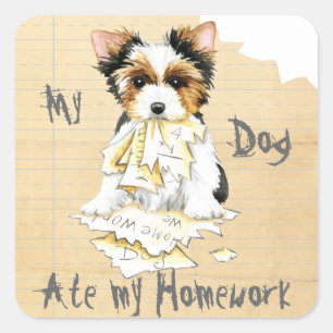 My Biewer Terrier Ate my Homework Square Sticker