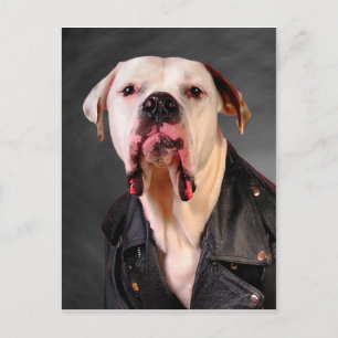 My big bad sweetheart postcard