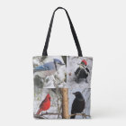 My Birds and Furry Friends