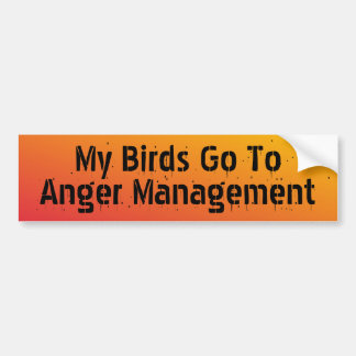 My Birds go to anger management Bumper Sticker