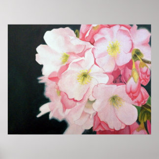My Blossoms Poster