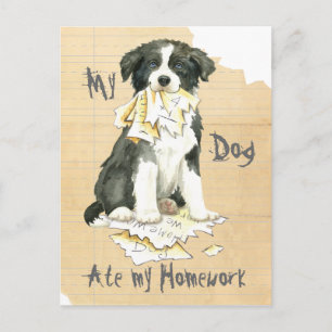 My Border Collie Ate my Homework Postcard
