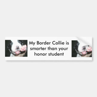 My border collie is smarter than your honour bumper sticker