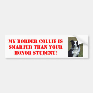 My Border Collie is Smarter Than Your Honour... Bumper Sticker