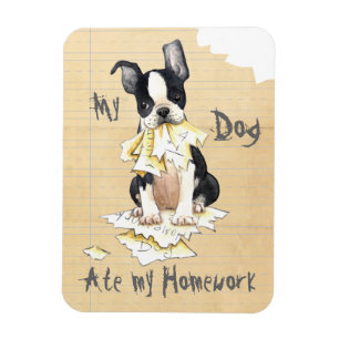 My Boston Terrier Ate My Homework Magnet