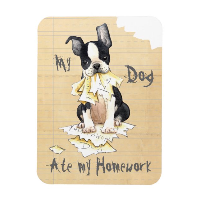 My Boston Terrier Ate My Homework Magnet (Vertical)