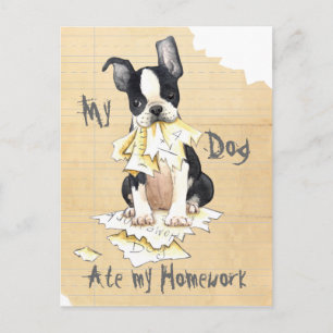 My Boston Terrier Ate My Homework Postcard