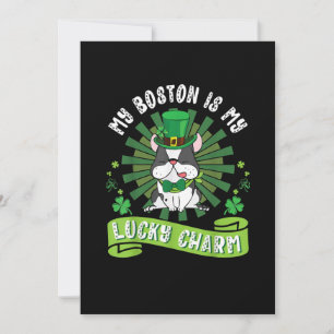 My Boston Terrier Dog Is My Lucky Charm Patrick Announcement