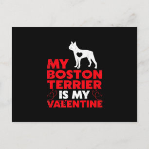 My Boston Terrier Is My Valentine Boston Terrier Holiday Postcard