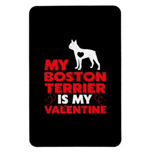 My Boston Terrier Is My Valentine Boston Terrier Magnet